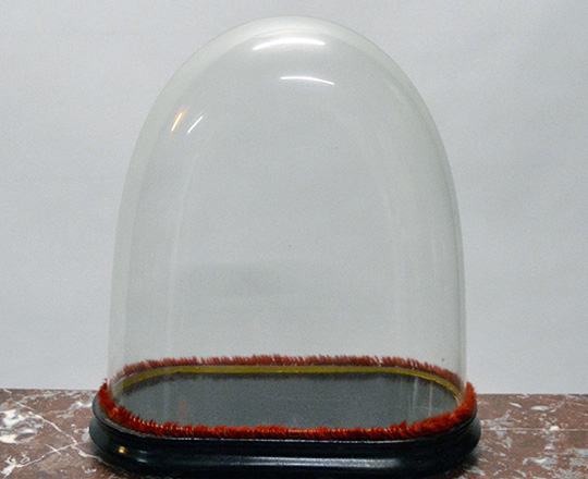 Lot 306: 19th cent glass dome. H39cm. (pair with 543?)