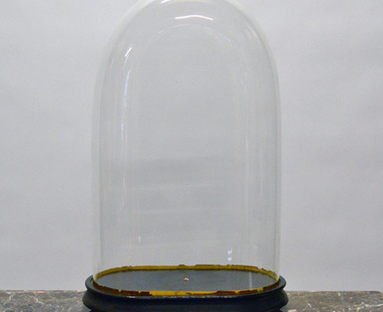 Lot 509: 19th cent glass dome. H56cm.